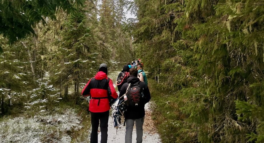 Hiken in de natuur van Zweden